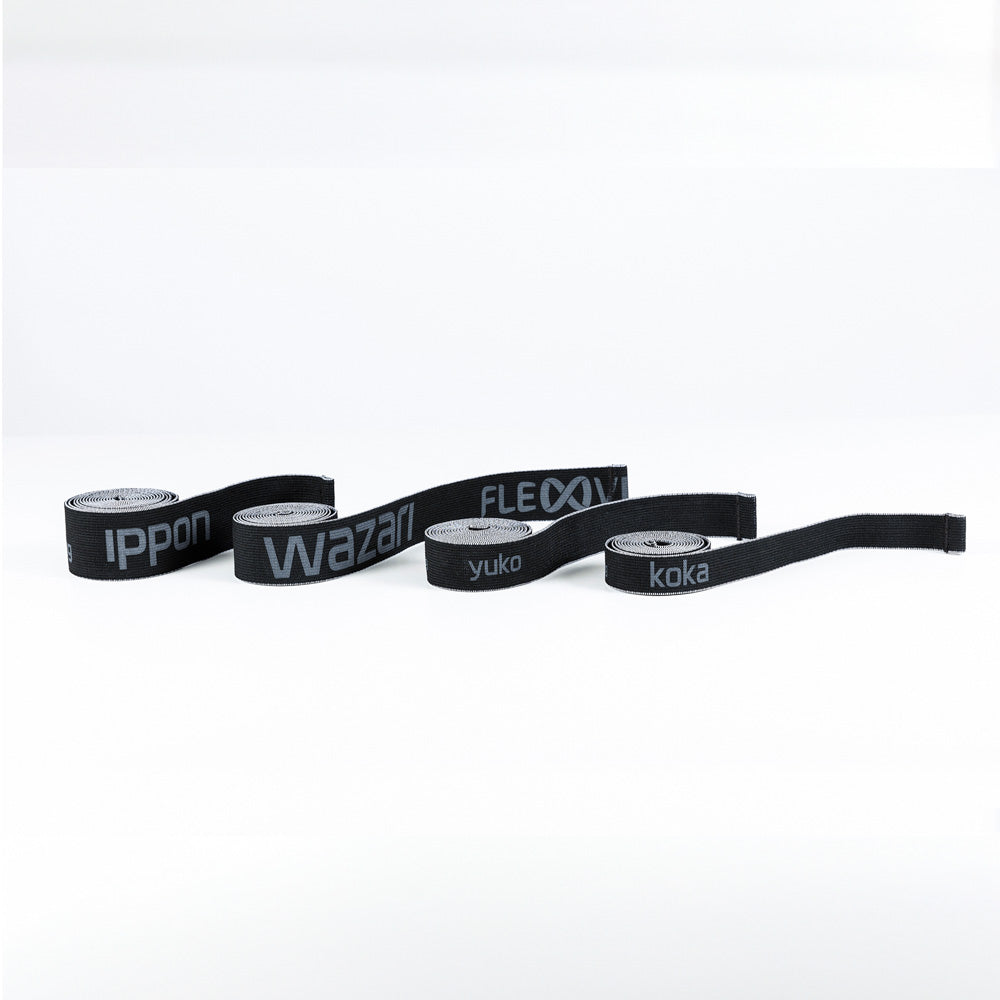 Flexvit Sparring Set de 4, bandas de resistencia negras para judo