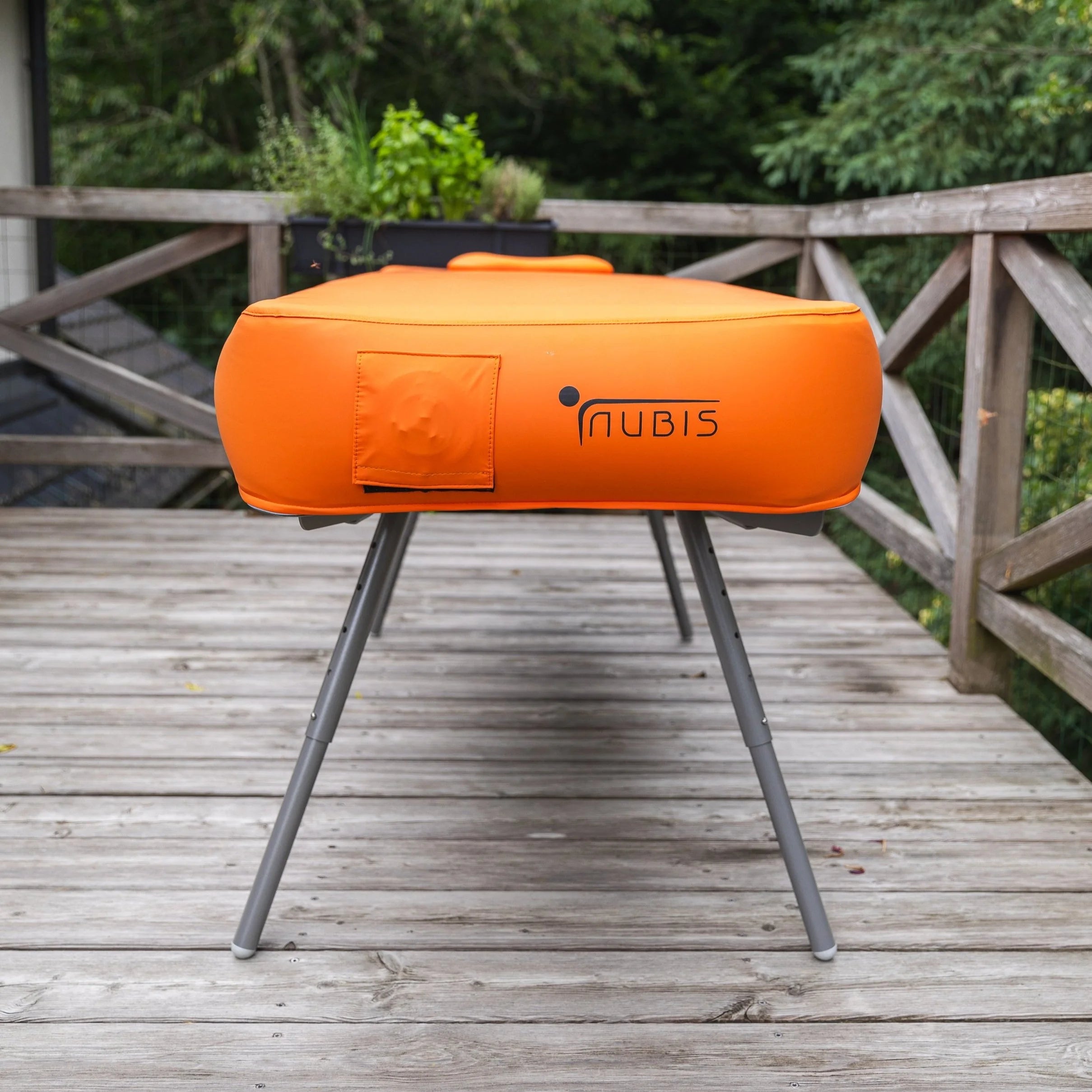 NubisPro 2.0 — foto 2 de 7